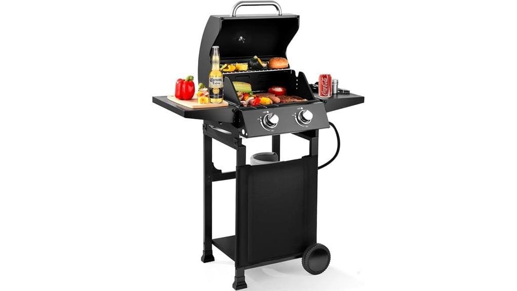 compact two burner propane grill