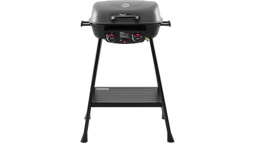 portable two burner propane grill