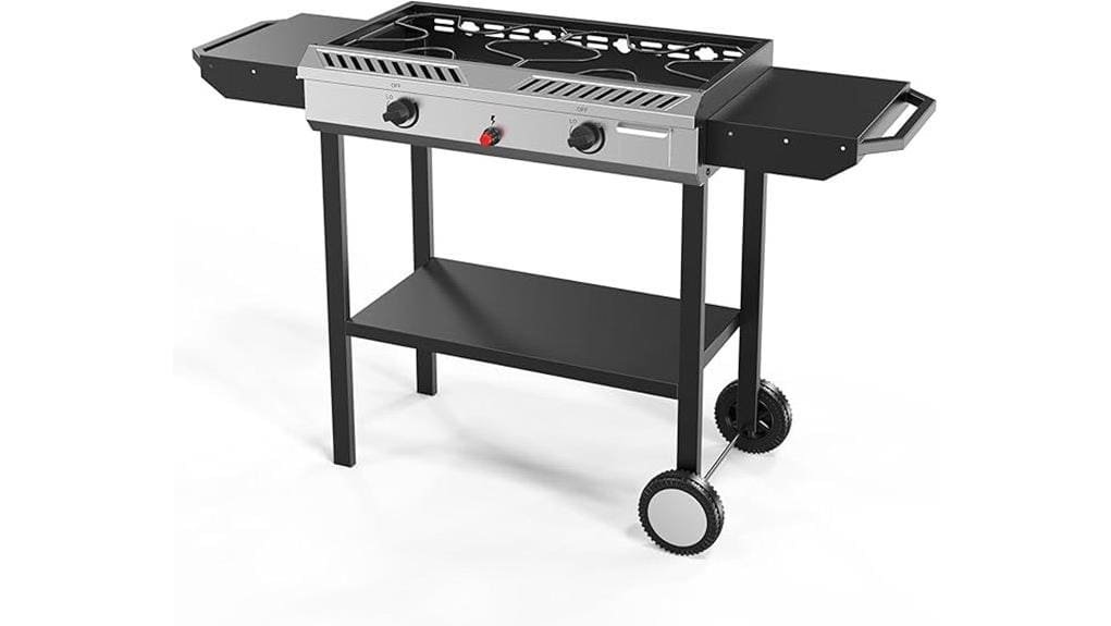 portable two burner propane stove