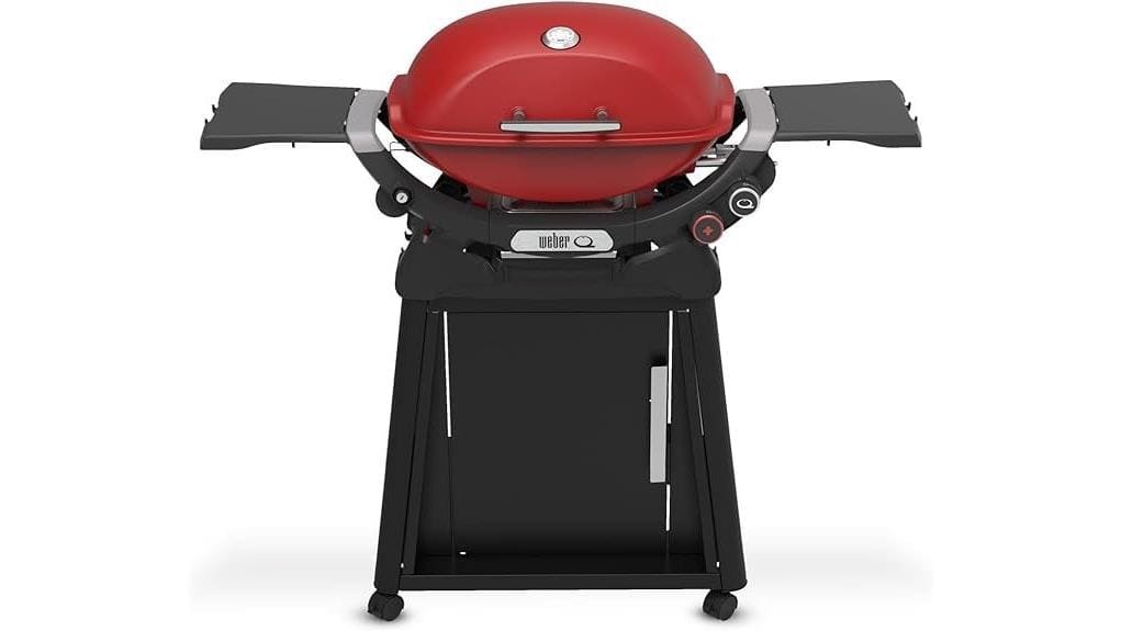 weber q 2800n review